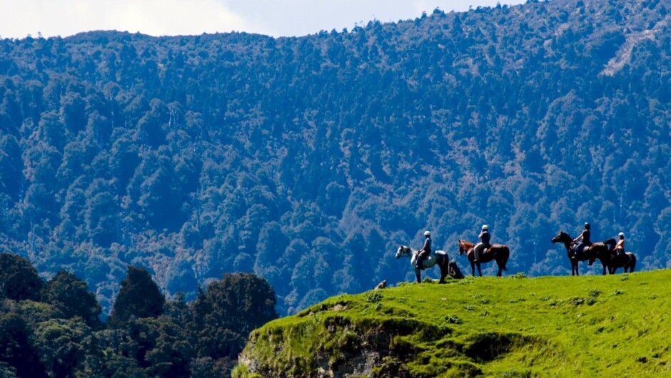 Riders on a hill with the backdrop of the Ruahine Ranges
