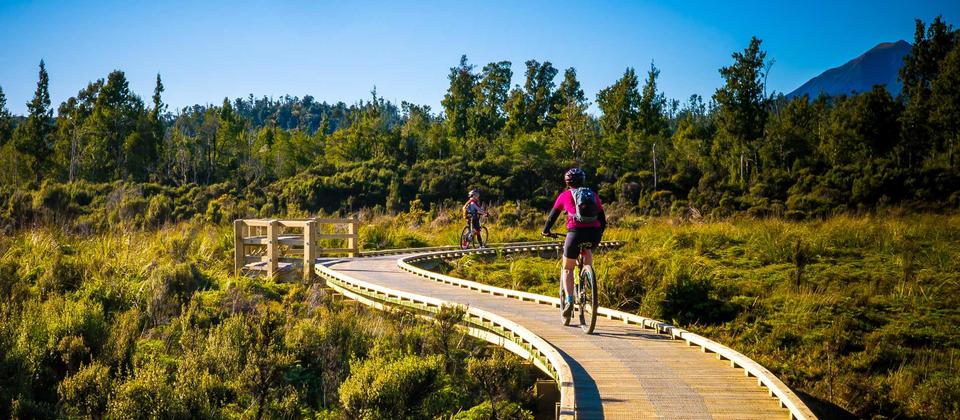 Cycle the West Coast Wilderness Trail with Adventure South