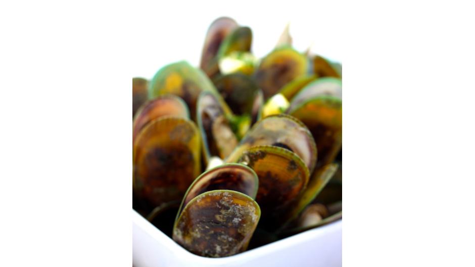 Greenshell Mussels, Marlborough Sounds