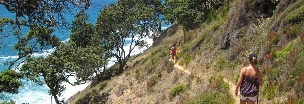 Homunga to Waihi Beach coastal walking track