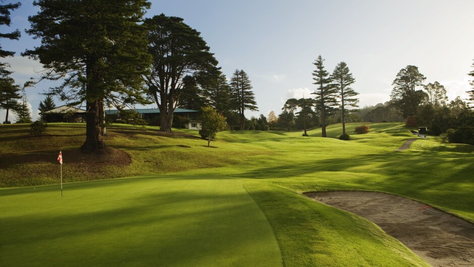 Redwood Park Golf Club #8 hole