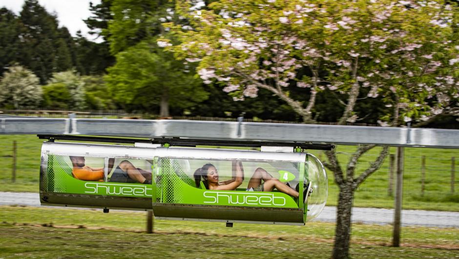 Embrace the race on the Shweeb Racer Monorail Racetrack, Rotorua, NZ