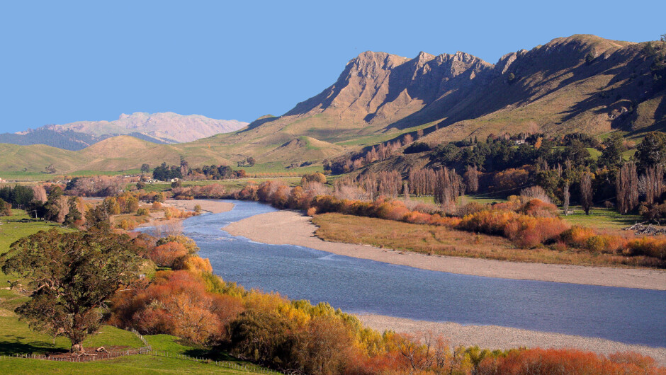 Fantastic vistas with Hawkes Bay Scenic Tours