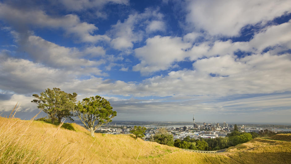 Auckland Maori Tours - view from the volcano Maungawhau (Mount Eden), Auckland&#039;s highest natural point