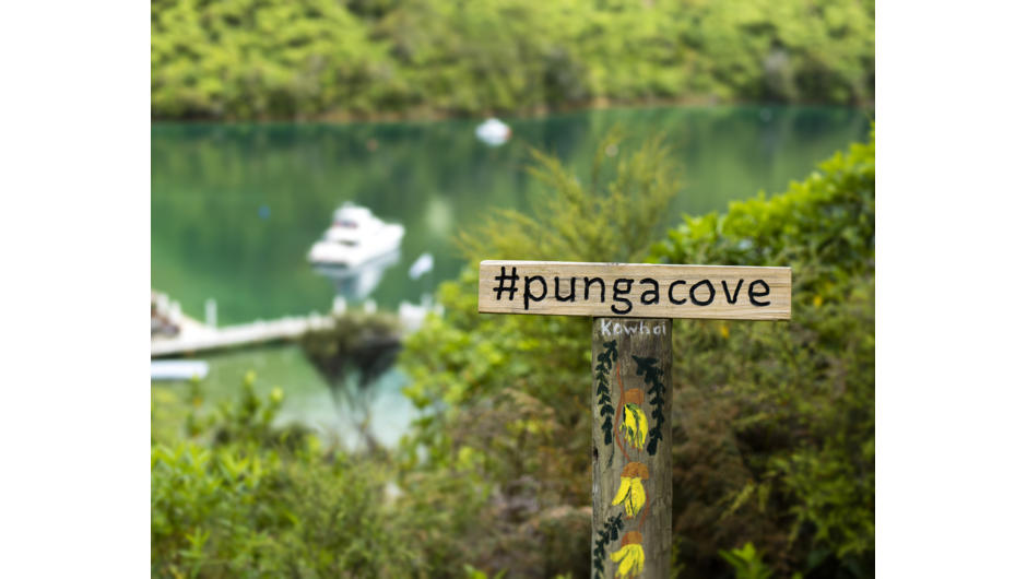 Punga Cove is nestled in a lush hillside of native New Zealand bush