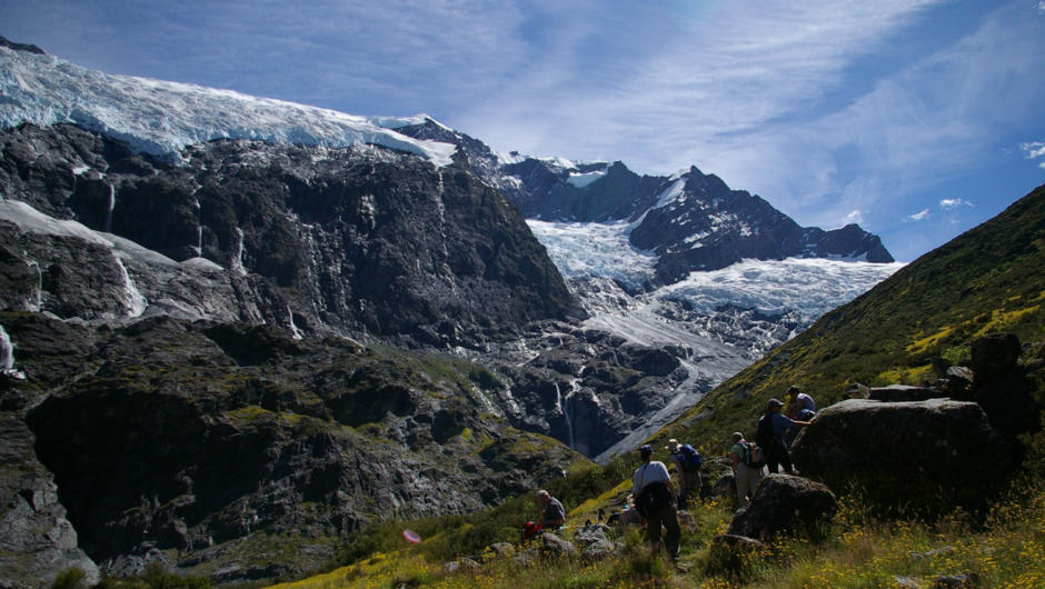 Lunch in an alpine herb field with outstanding panoramic views of Rob Roy Glacier. Sometimes we see large chunks of ice and snow tumbling from the glacier in the distance from our safe spot.