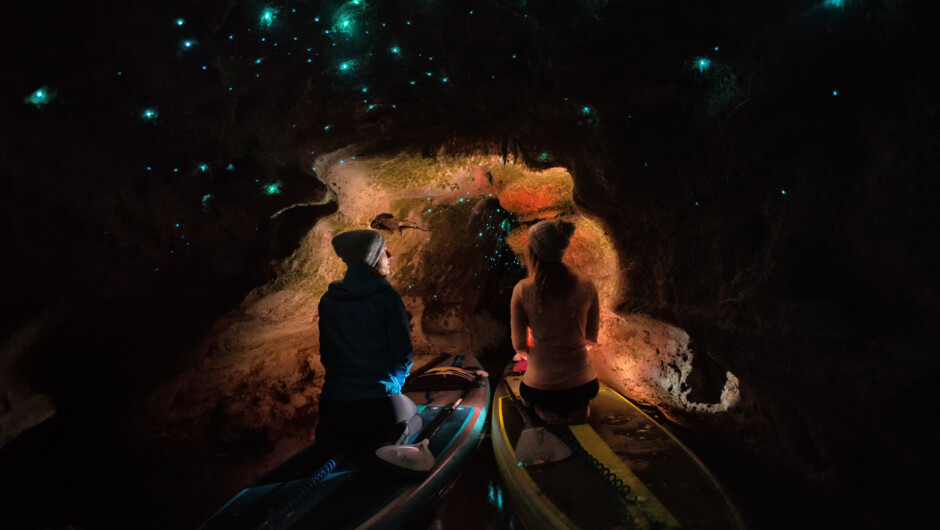 Two woman gaze at amazing glow worms on the glow worm cave tour.