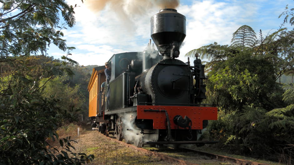 Peckett 1630 steaming through the bush with passengers in tow