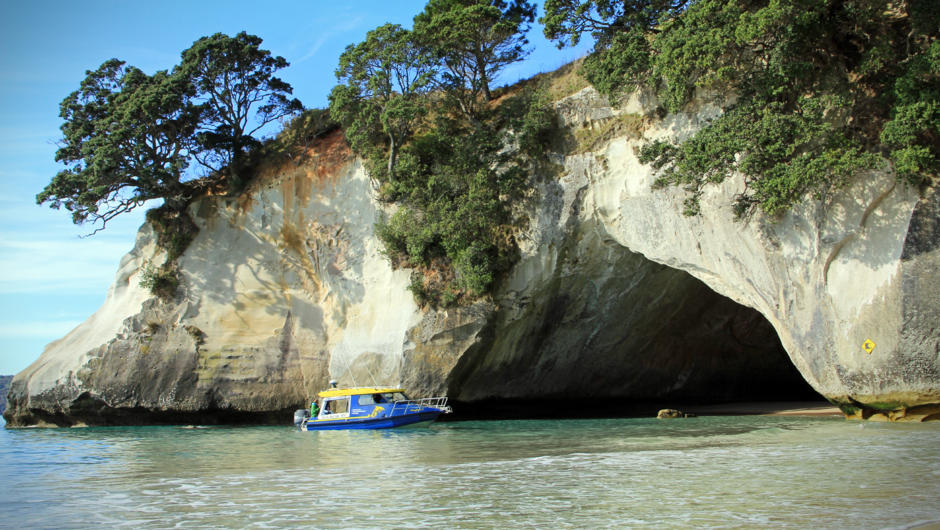 Experience a close encounter at Cathedral Cove. Whitianga, Coromandel, New Zealand