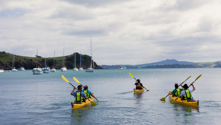 Sea Kayaking in Auckland