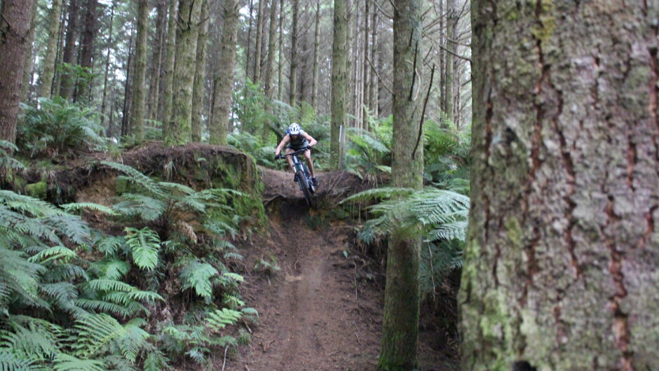 Dropping into Rotorua&#039;s crafted &quot;Hero Dirt&quot; ! - Old Chevy trail