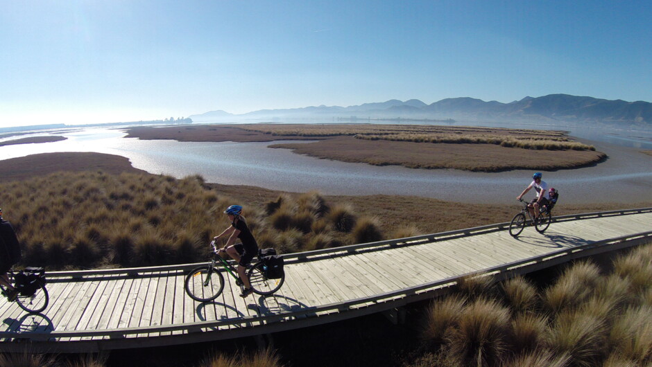 Cycling on the Tasman Great Taste Trail