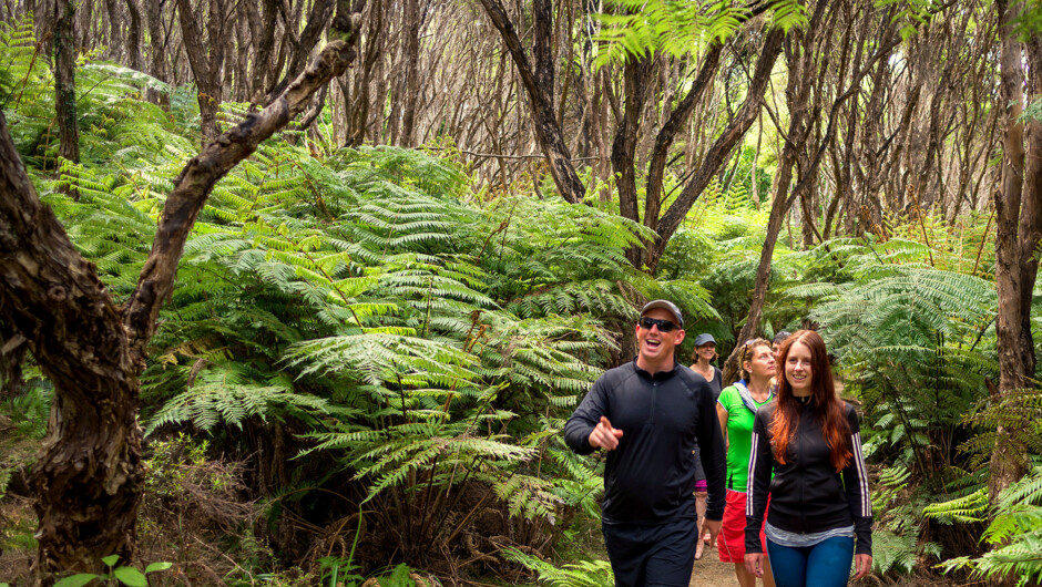 Hiking and kayaking are included on our Abel Tasman day trips