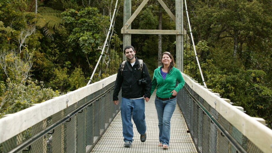 Visitors on the Suspension Bridge at ZEALANDIA