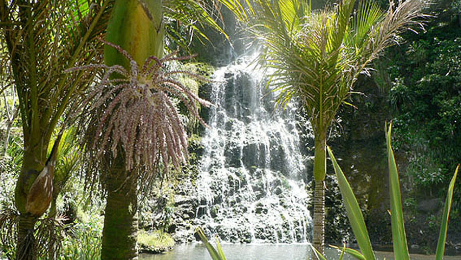 Beautiful sub-tropical rainforest waterfalls.
