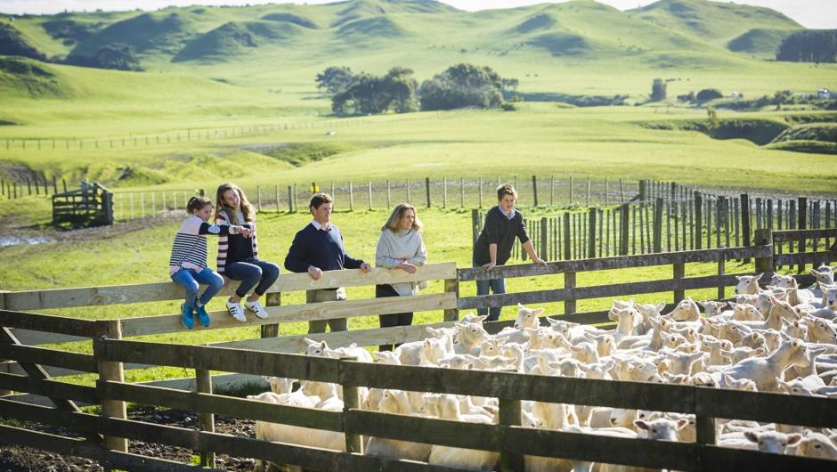 Farm Tour of Cape Kidnappers Station