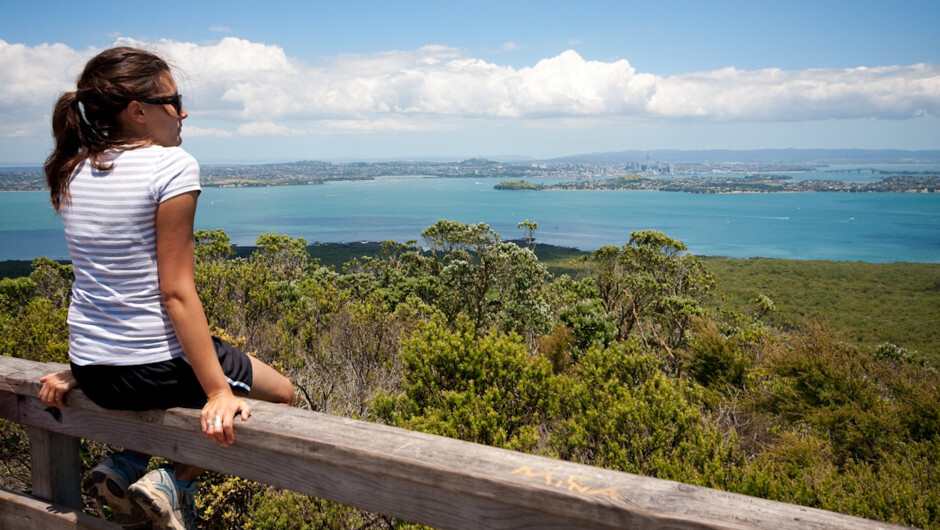 Day tour Rangitoto summit