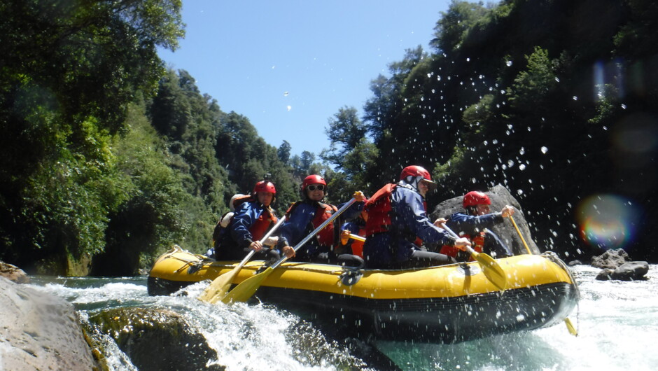 Action on the Tongariro River