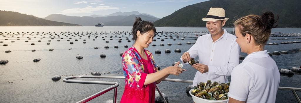 Sampling Greenshell Mussels, right at the mussel farm