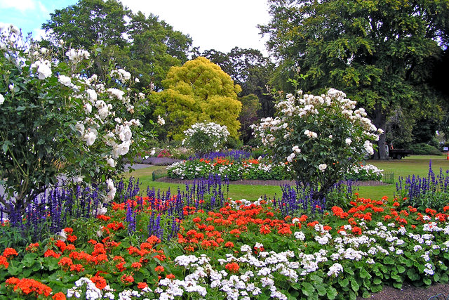 Dunedin Botanic Garden Activities Tours In Dunedin New Zealand