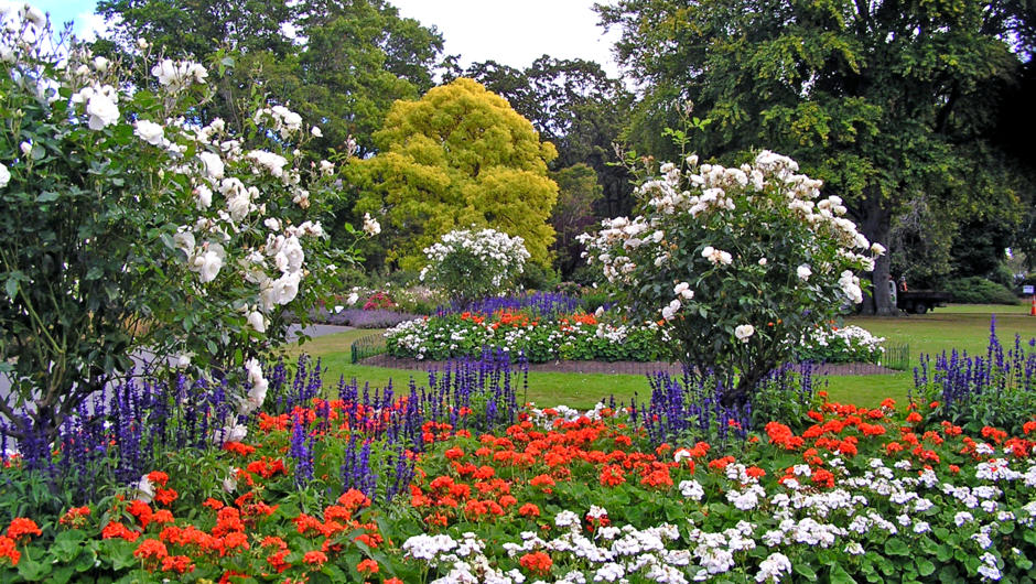 Lower Garden, Dunedin Botanic Garden