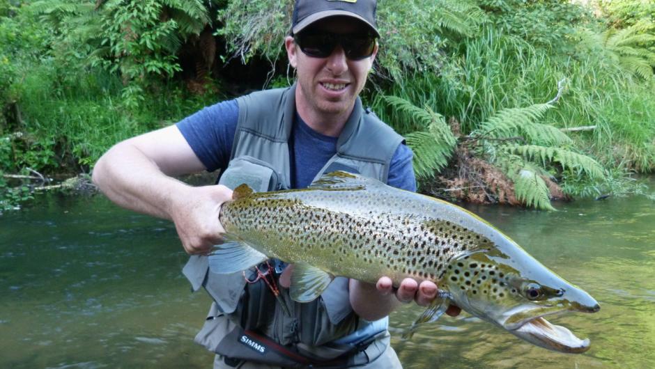 Local river brown trout