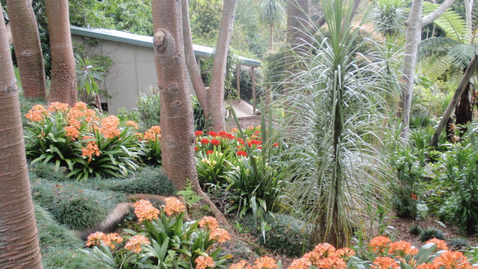 5 acres of award winning subtropical garden