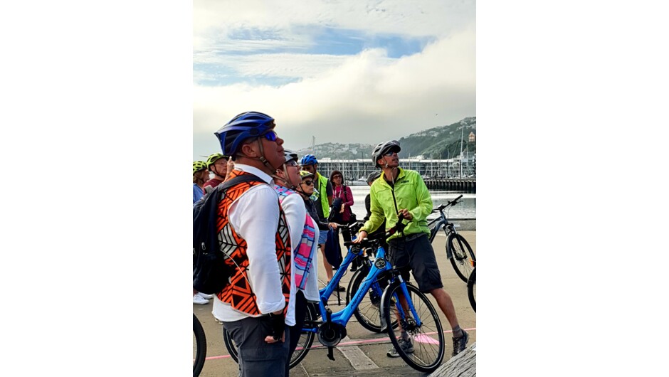 Guided eBike Tour in Wellington
