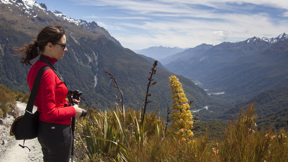 Overlooking the Hollyford Valley on the Routeburn Guided Walk