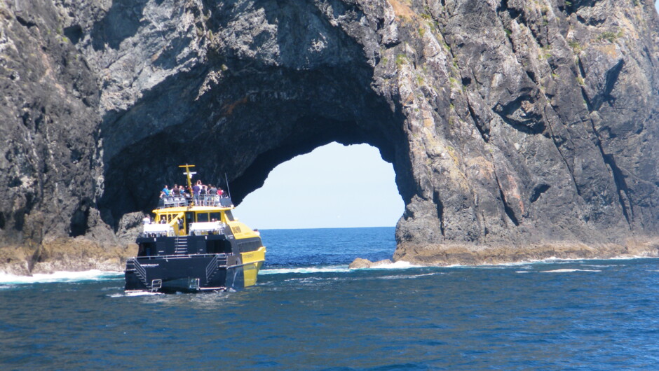 Hole in the rock
Bay of islands