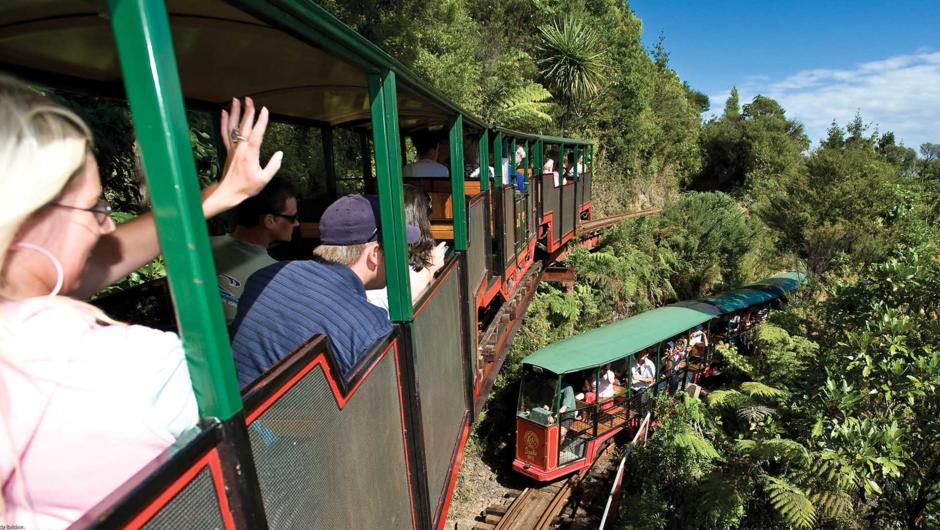 Driving Creek Railway and Potteries