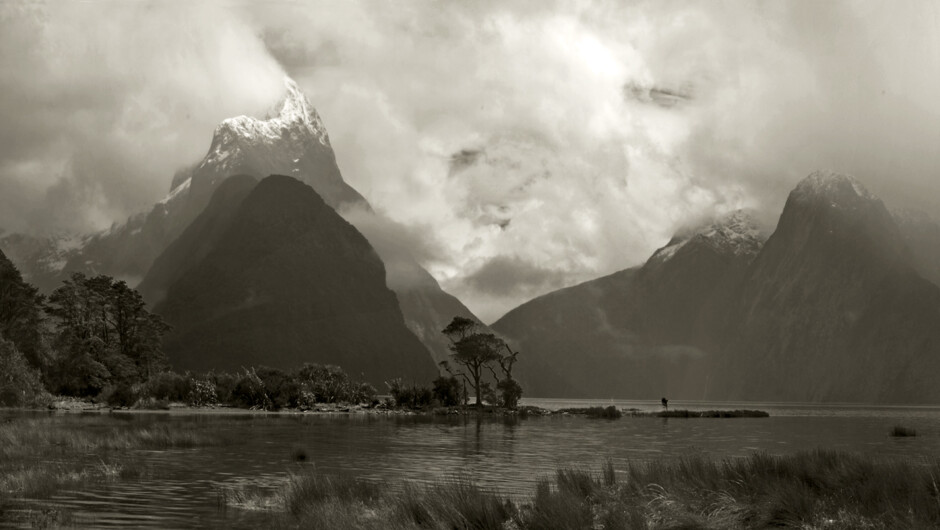 Venturing further afield on a Central Otago Photo Safari & Nature Tour