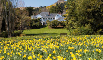 Otahuna Lodge with its field of more than 1 million daffodils
