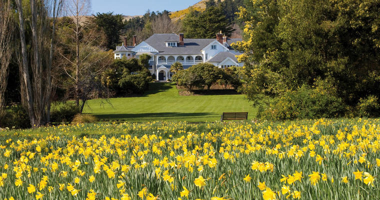 Otahuna Lodge with its field of more than 1 million daffodils