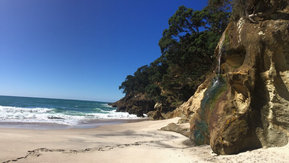 Pristine coastlines of the Coromandel