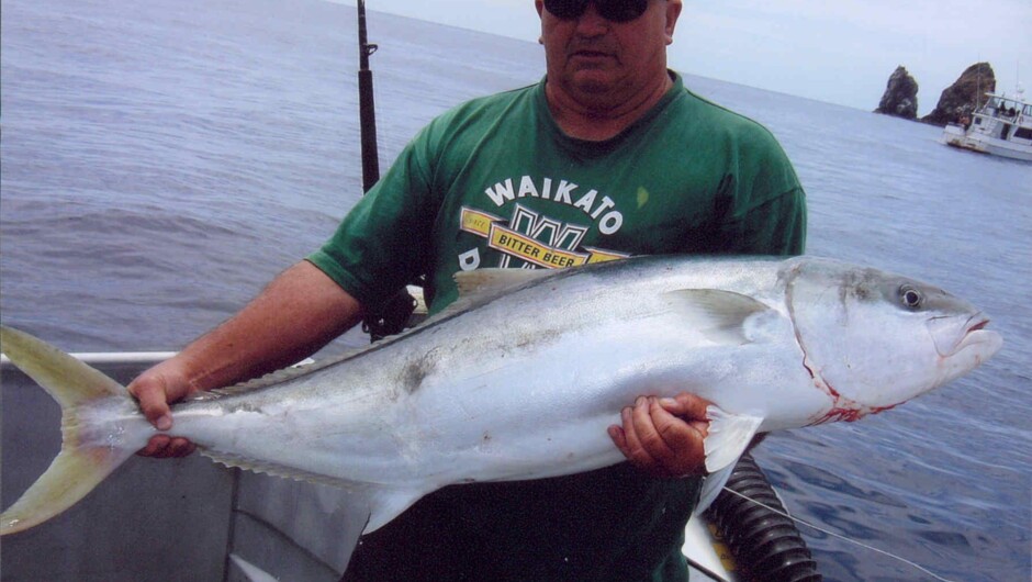 Kingfish caught near White Island