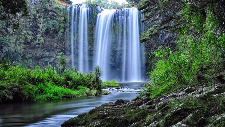 Beautiful Whangarei Falls