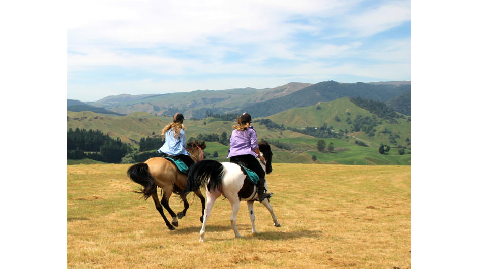 A &#039;Burn The Breeze&#039; horse trek for experienced riders