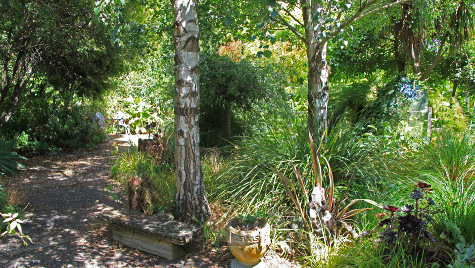 Woodland - near onsite cottages