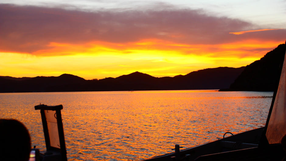 Enjoy a gorgeous sunset in the Bay of Islands as you enjoy fishing or a glass of wine before your BBQ dinner.