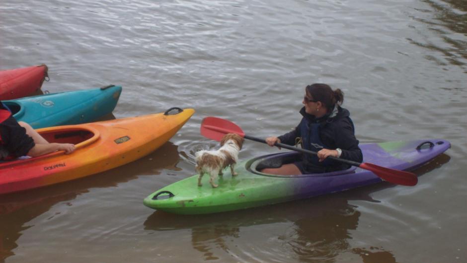 kayaking fun complete with dog.