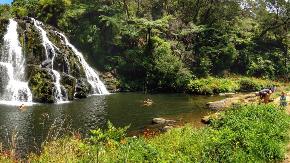 A perfect place for picnics - Owharoa Falls