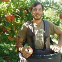 Apple picker on the Great Taste Trail