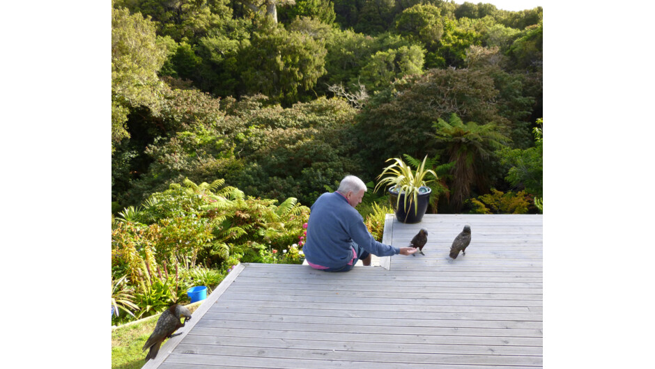 Kaka encounter