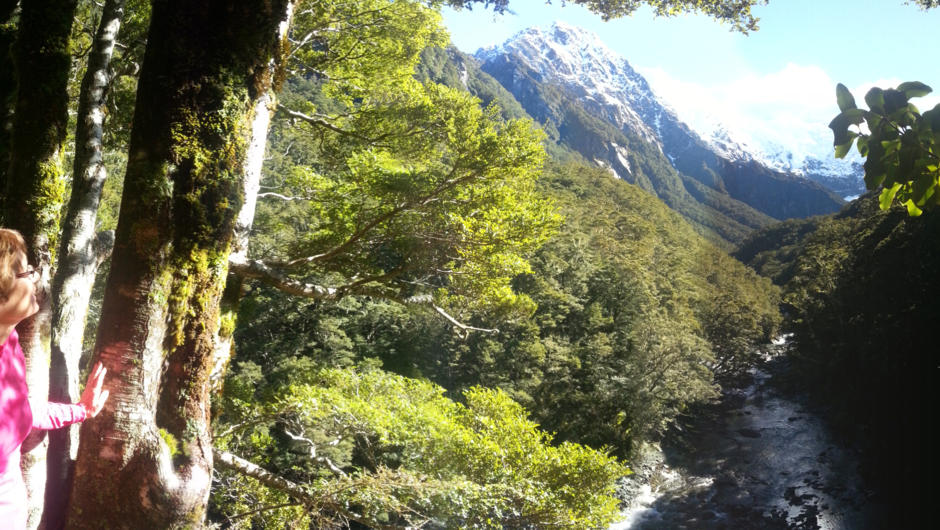 A view point on the Rob Roy Valley track.