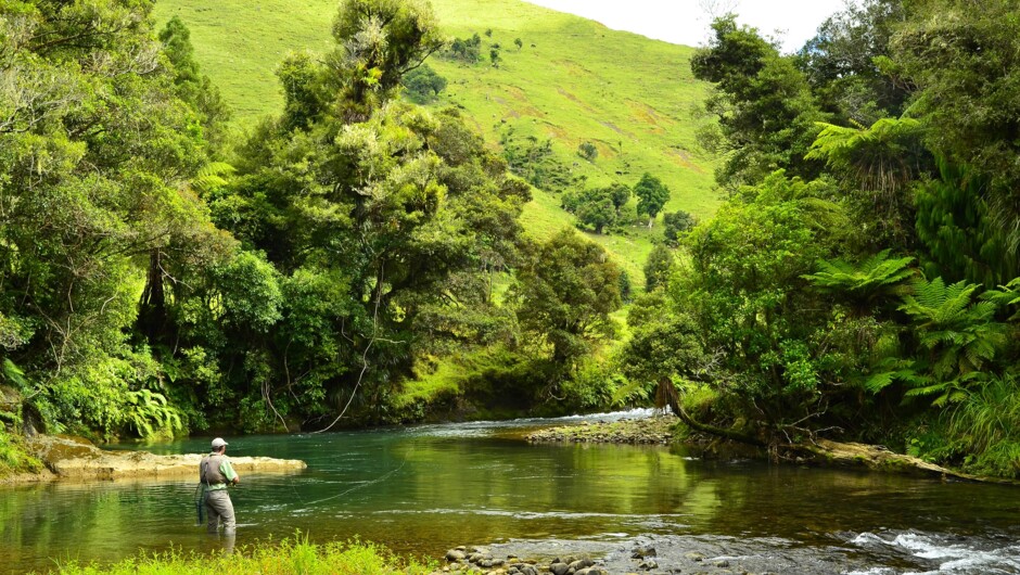 New Zealand is a fly-fisherman’s dream. Experience your first try with an experienced guiding team right at the best sighted trout fishery.