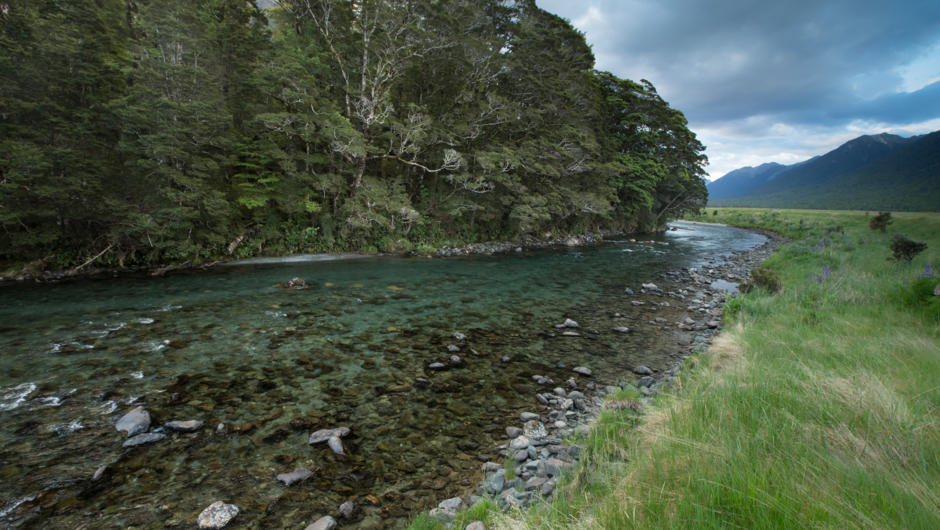 Stunning South Island River Fiordland - Te Anau - South Island New Zealand