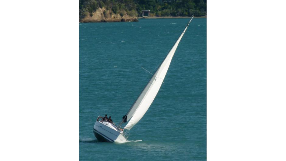 Fun day sailing the Kenepuru  Sound
