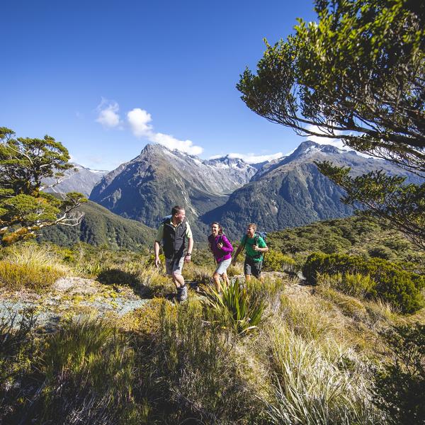 New Zealand’s great outdoors is best experienced on foot! The carefully selected “9 Great Walks” showcase some of the most well-known locations and diverse landscapes.