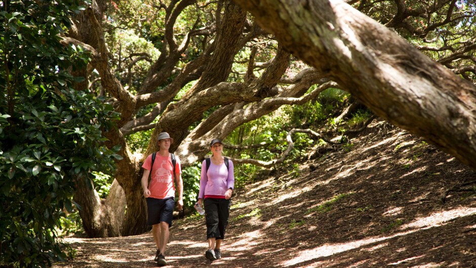 Walk through the beautiful Waitakere Ranges on Auckland's West Coast with TIME Unlimited Tours